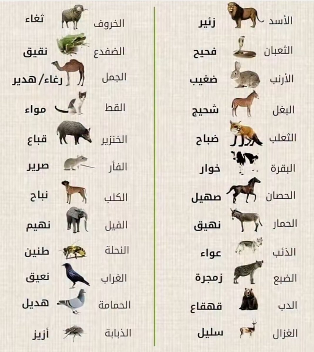 حمد الخضيري tweet media