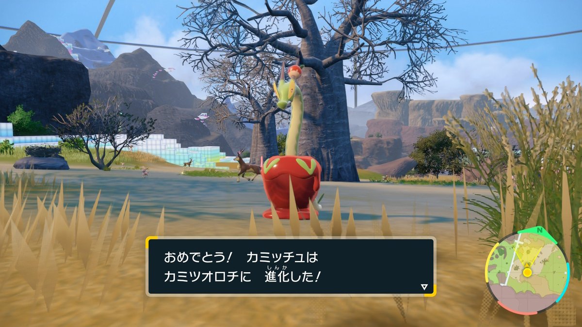 みんとす tweet media