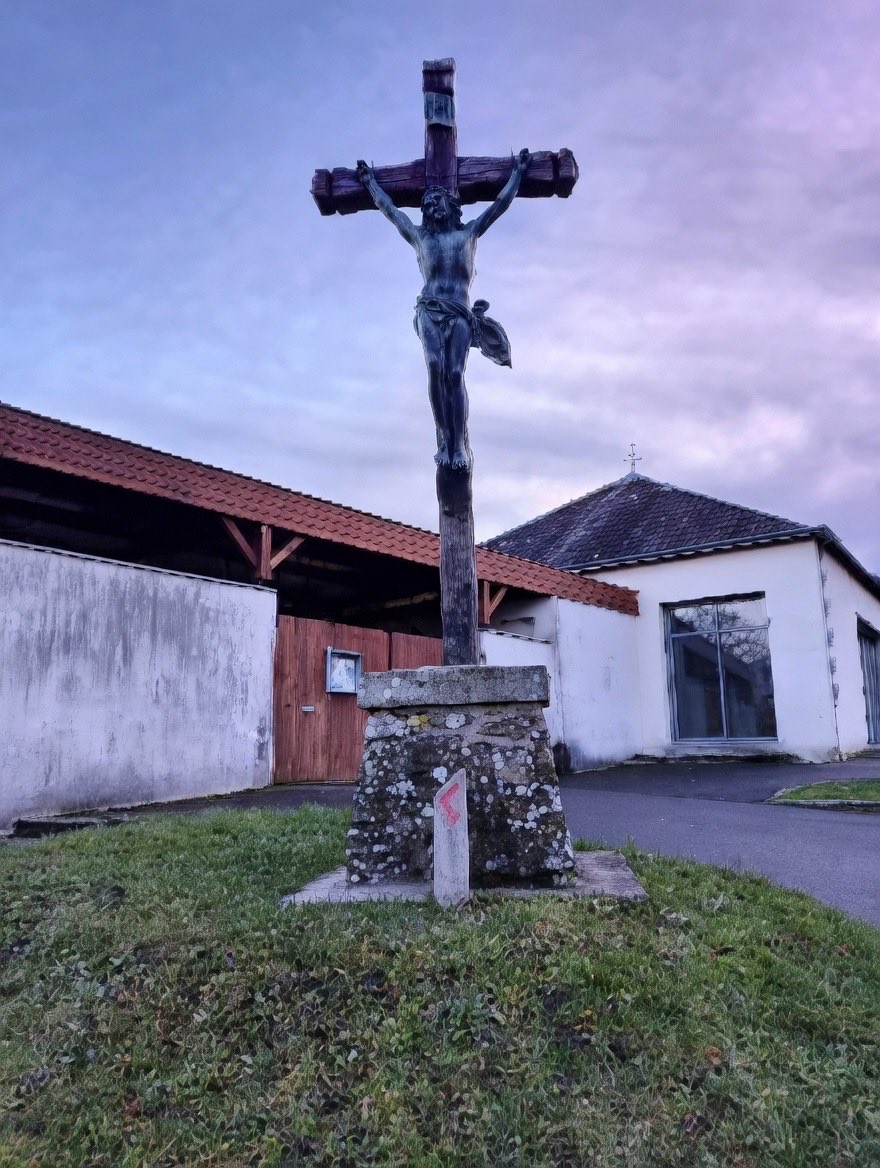 Wolf 🐺 tweet media