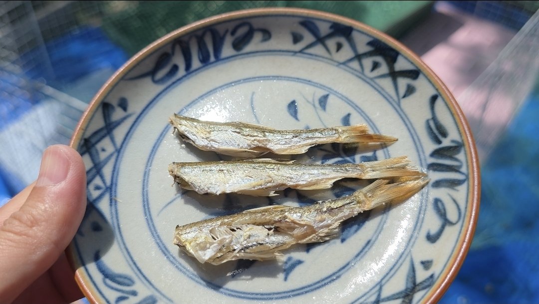 マーシーの獲ったり狩ったり tweet media