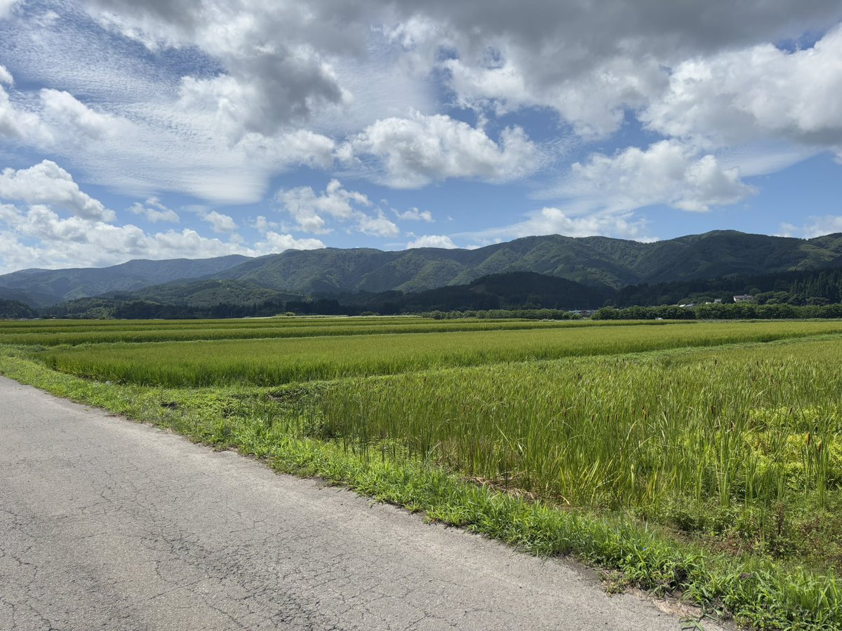 ゆすやん観測班🍥 tweet media