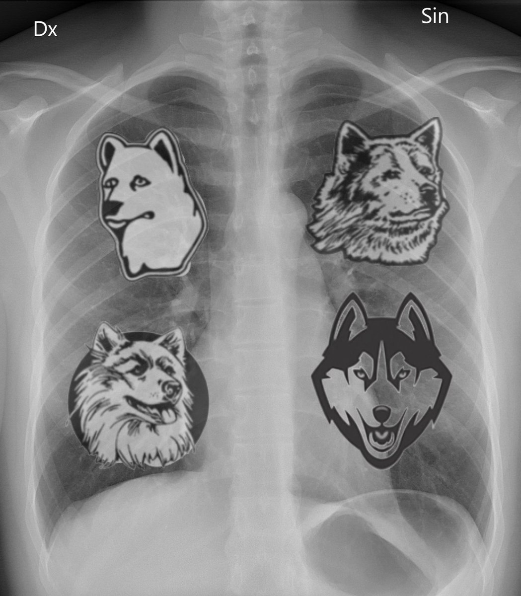 Mr. UConn tweet media