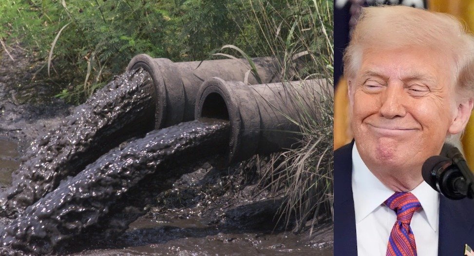 Occupy Democrats tweet media