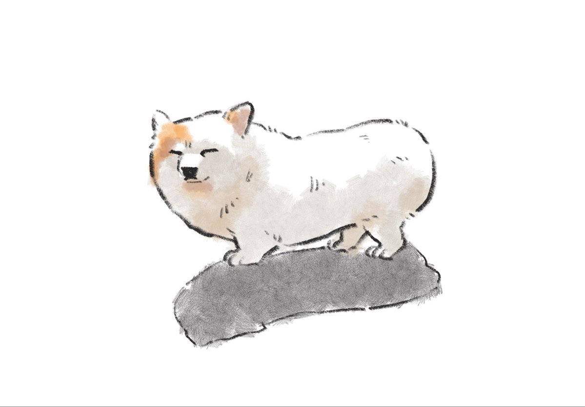 올챙이가된개구리 tweet media