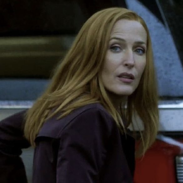 raia 🛸 tweet media