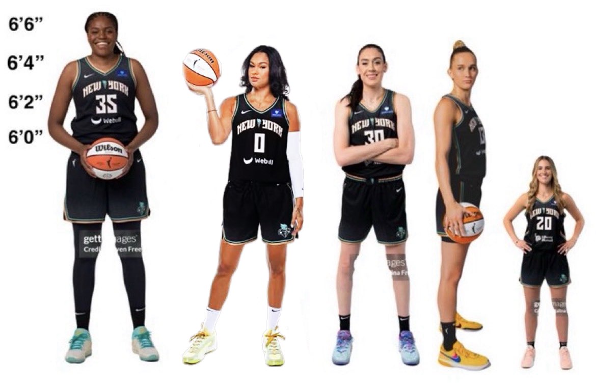 lesbians for stewbrina tweet media