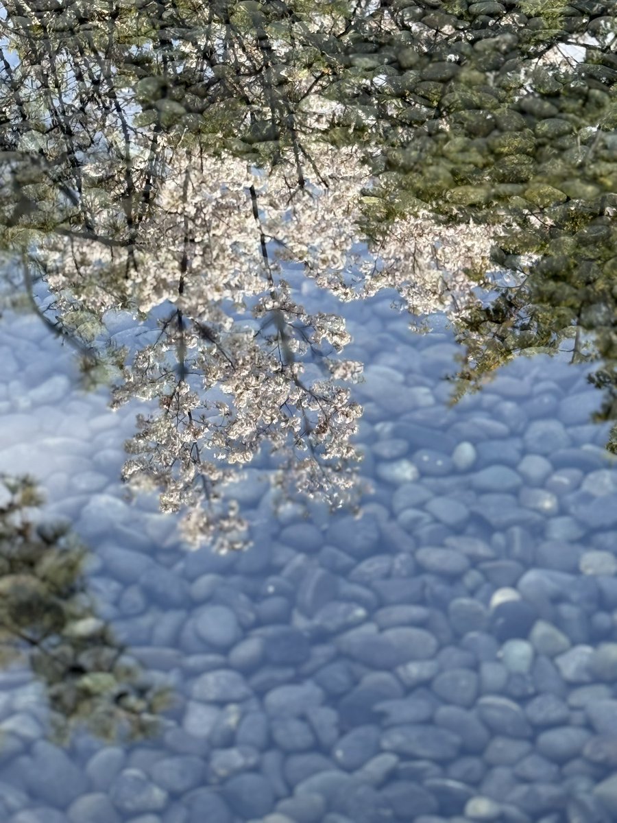 영 🕯️ tweet media