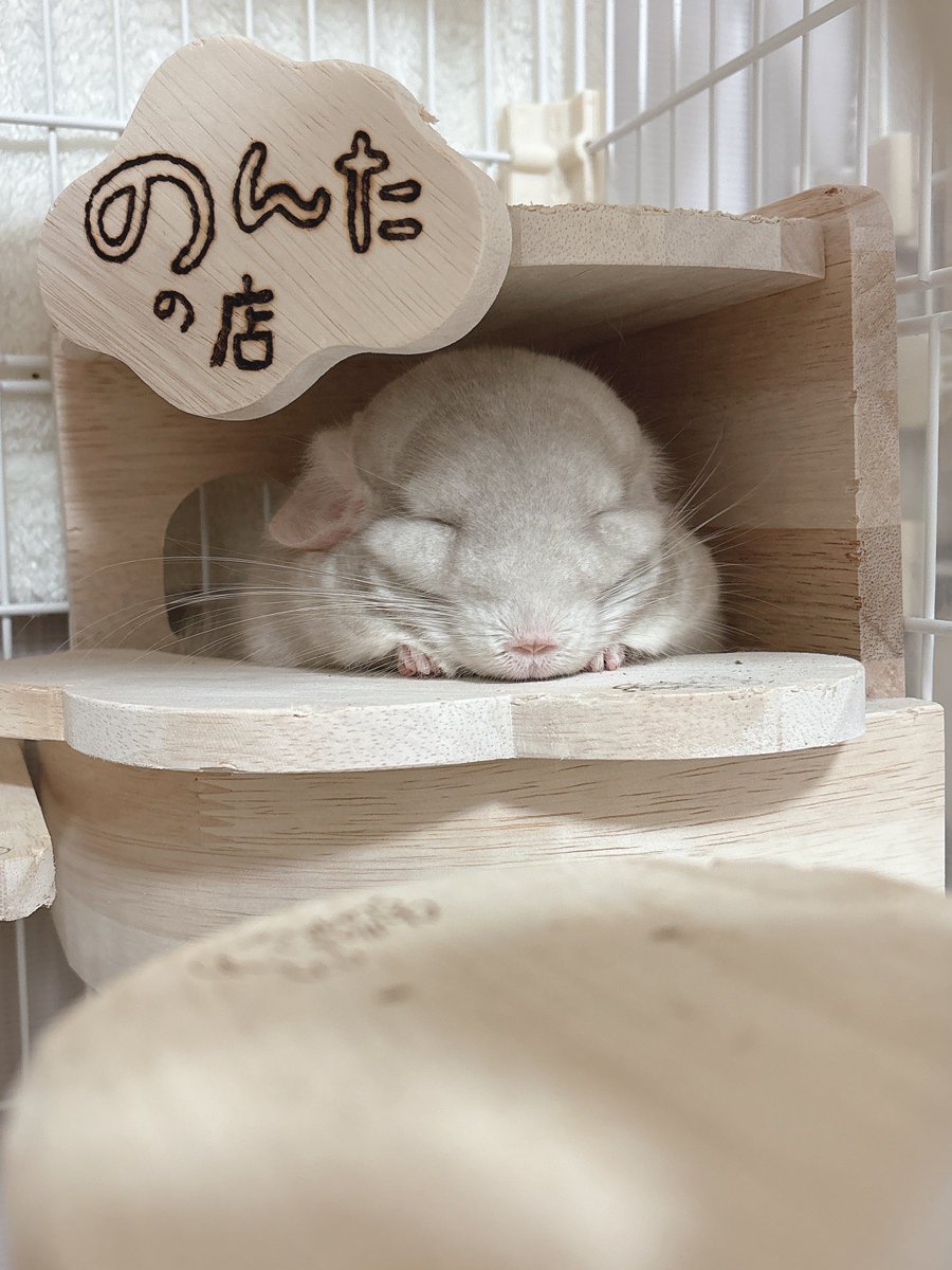 くまおのままお (@neko_no_hanatan) / Posts / X