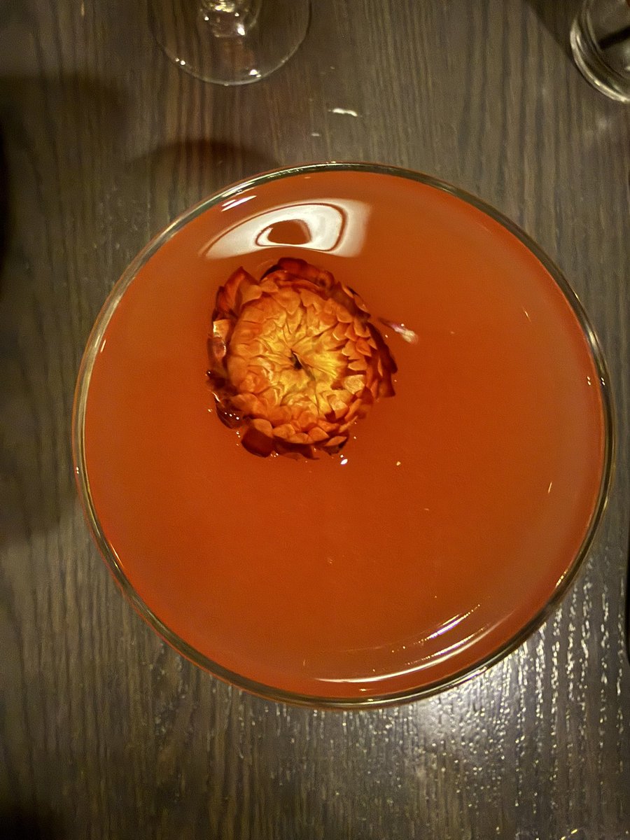 𝓶𝓼 𝓹𝓸GOBIRDS✿ tweet media