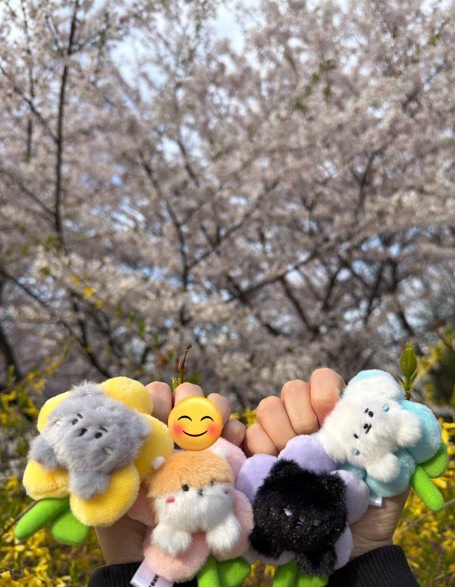 꽃 놀이 막차 탑승 ,,🤭
멍꾜랑 냥균이가 좀 무서웠겠구나🫠
(벚꽃에디션 좀 귀여운 것 같음;)