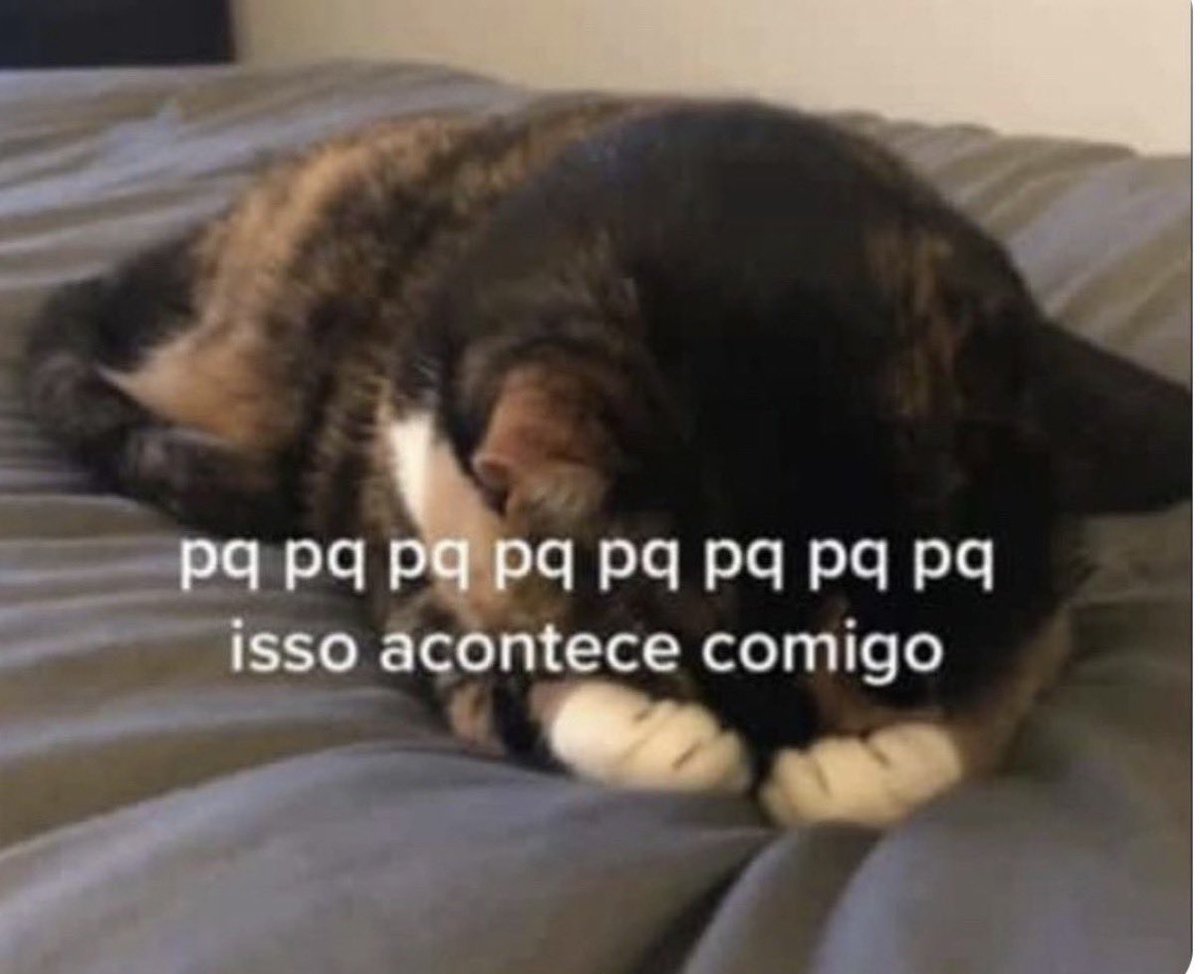 bibis VAI VER O BTS 🪭 tweet media