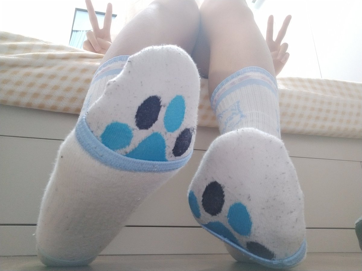 Tamedaisy灰墨 tweet media