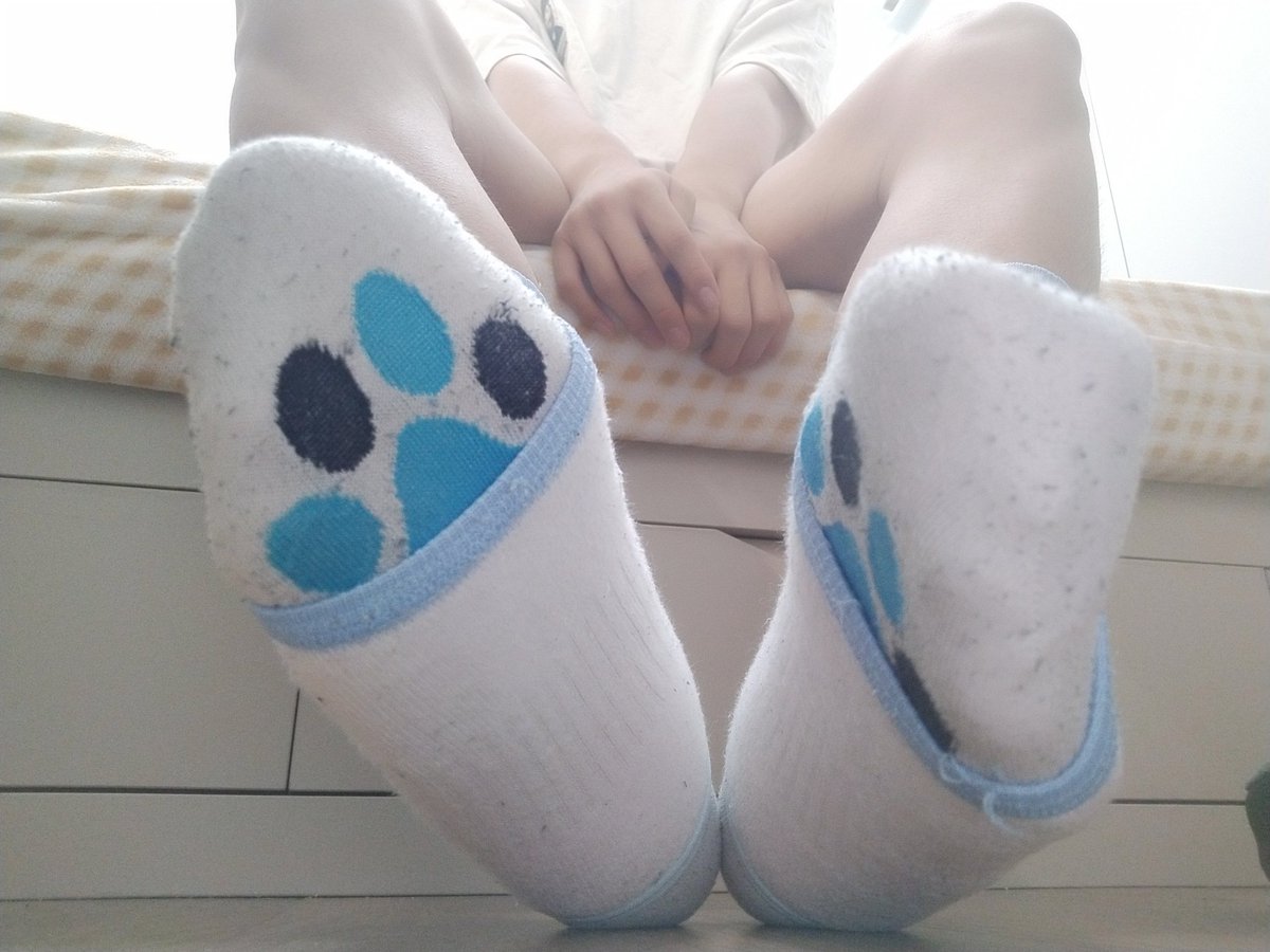 Tamedaisy灰墨 tweet media