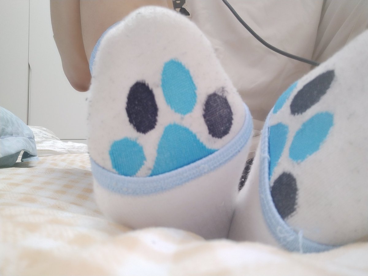 Tamedaisy灰墨 tweet media