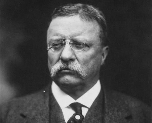 The Conservative Alternative tweet media