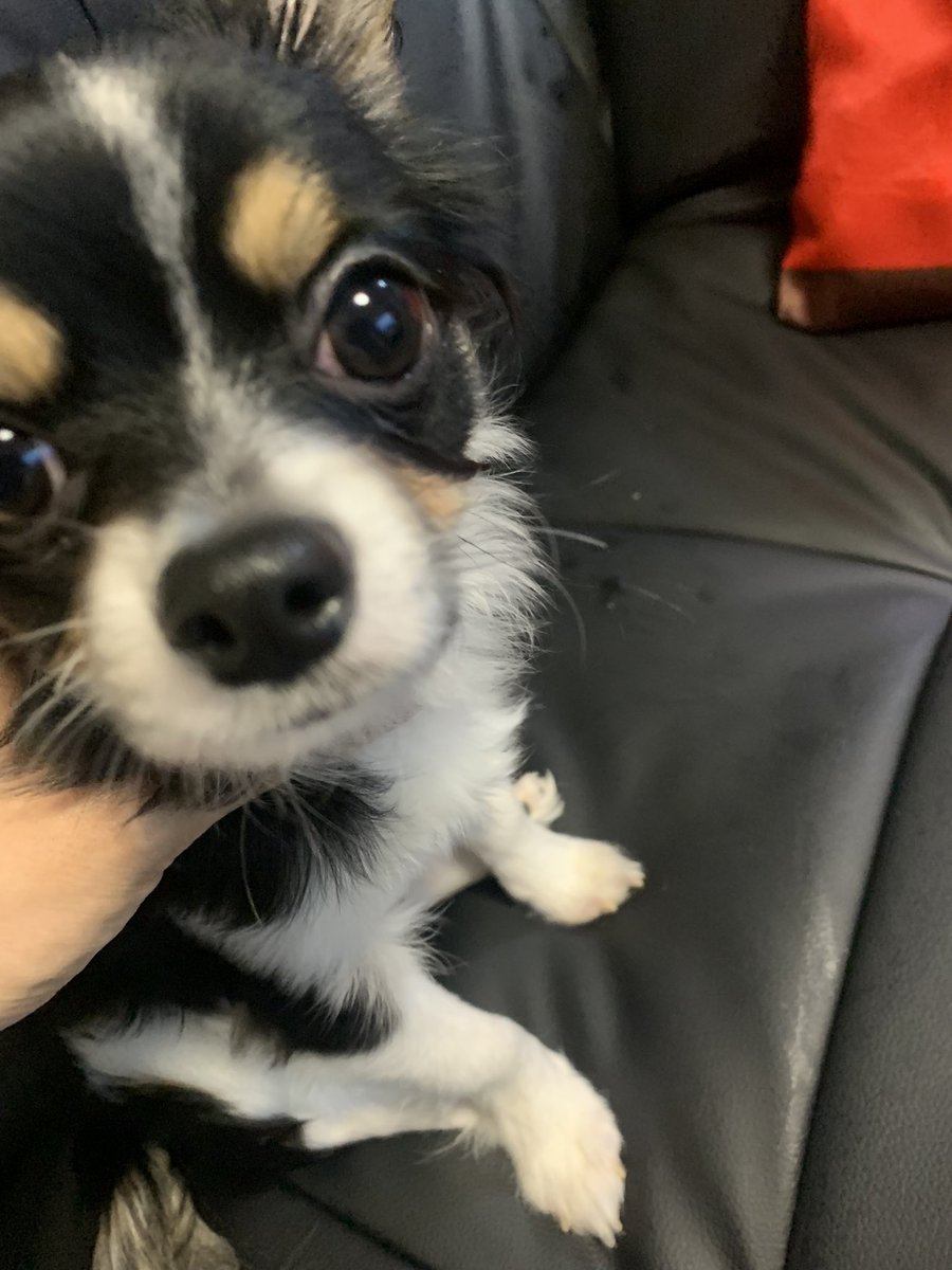 𝑭𝒓𝒆𝒆な塩‧⁺ ⊹˚. tweet media