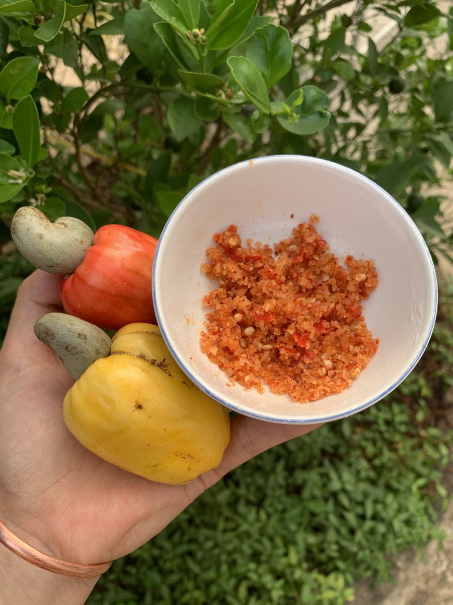 Thảo Trần | Jena tweet media