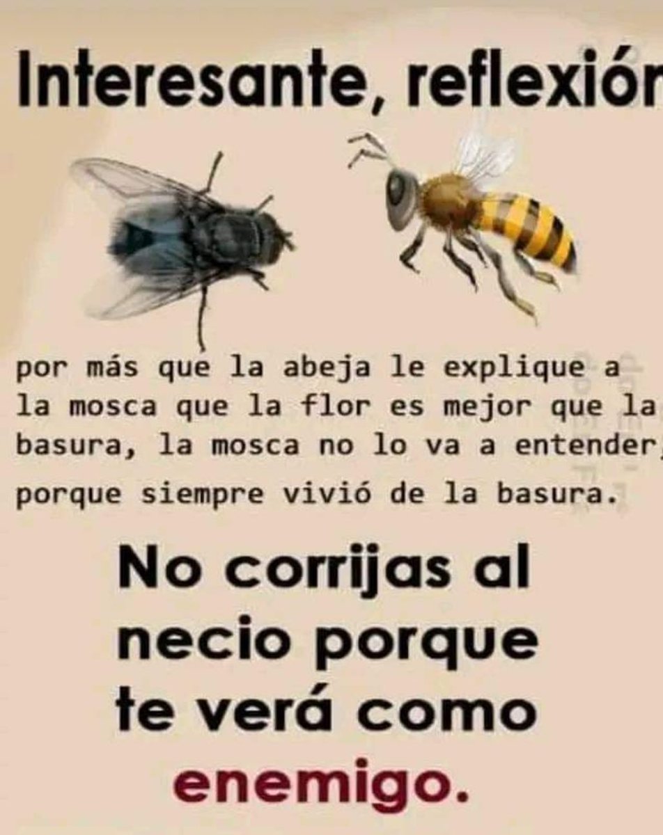 yiyo2724's tweet photo. @eduardomenoni Quien crea que Dios no existe, que estudie el universo y la naturaleza en sus manifestaciones, luego a conciencia diga; fue una explosión que lo creó todo y ahí vamos evolucionando. El mono sigue siendo mono🙈, y el hombre a imagen y semejanza del Creador viaja a la luna..🌒 https://t.co/O5GbZAuBjU