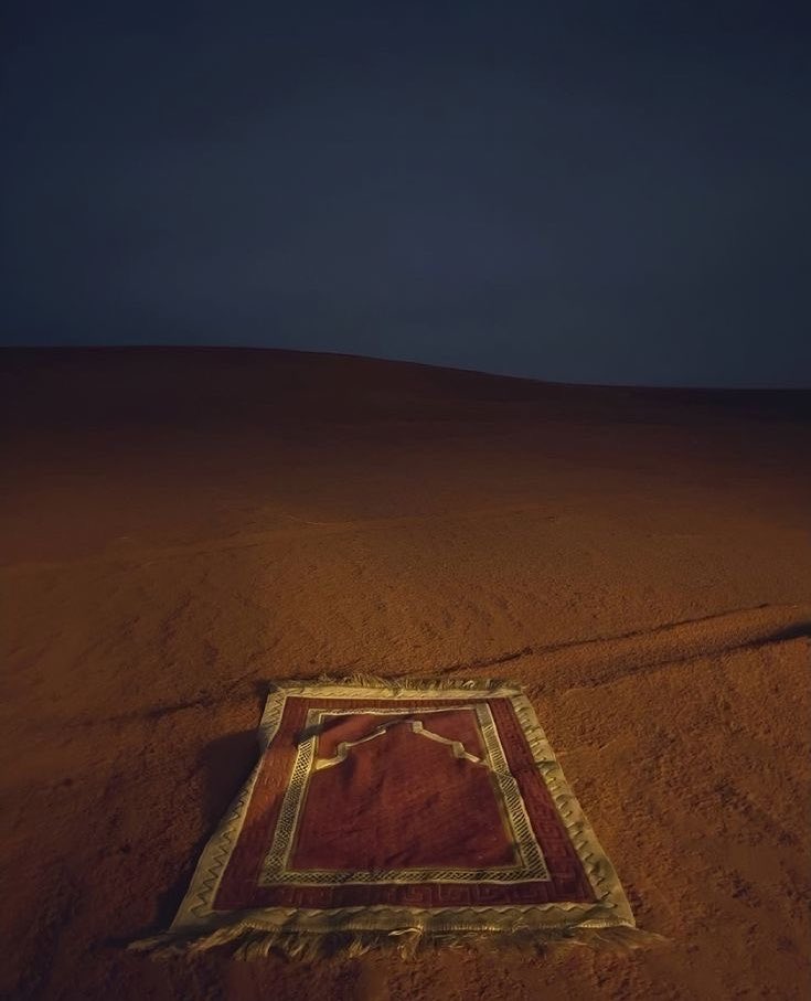 أبو سلمان tweet media