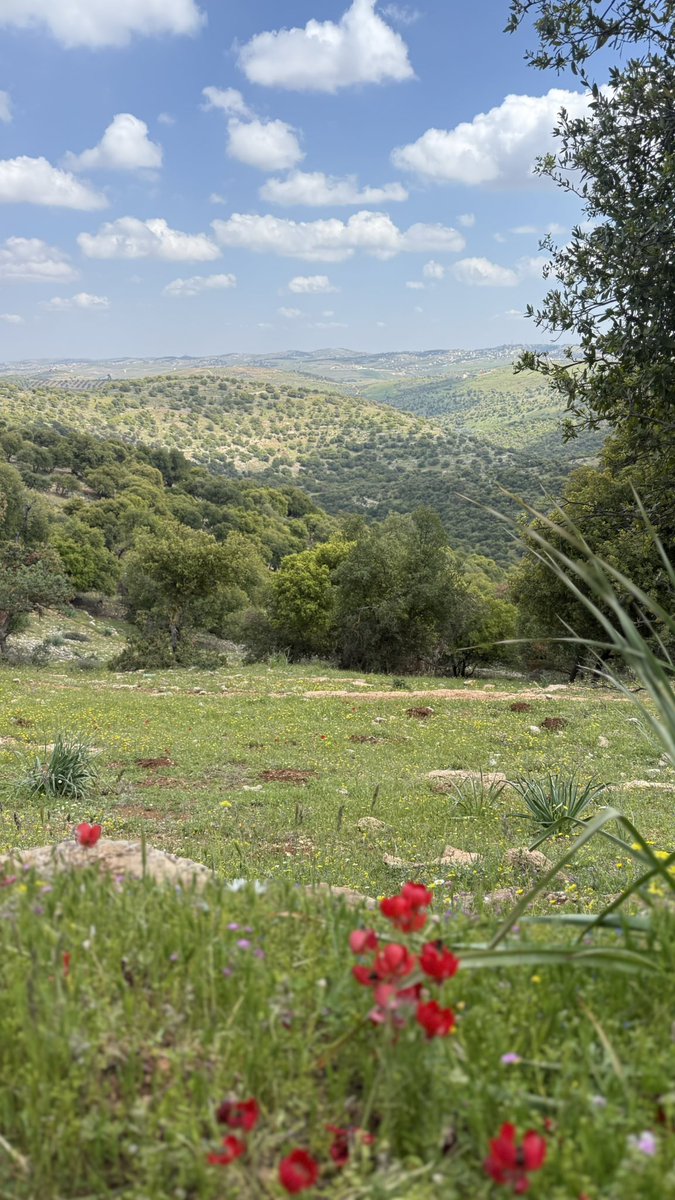 ديمة(ضائع بلا وجهة) tweet media