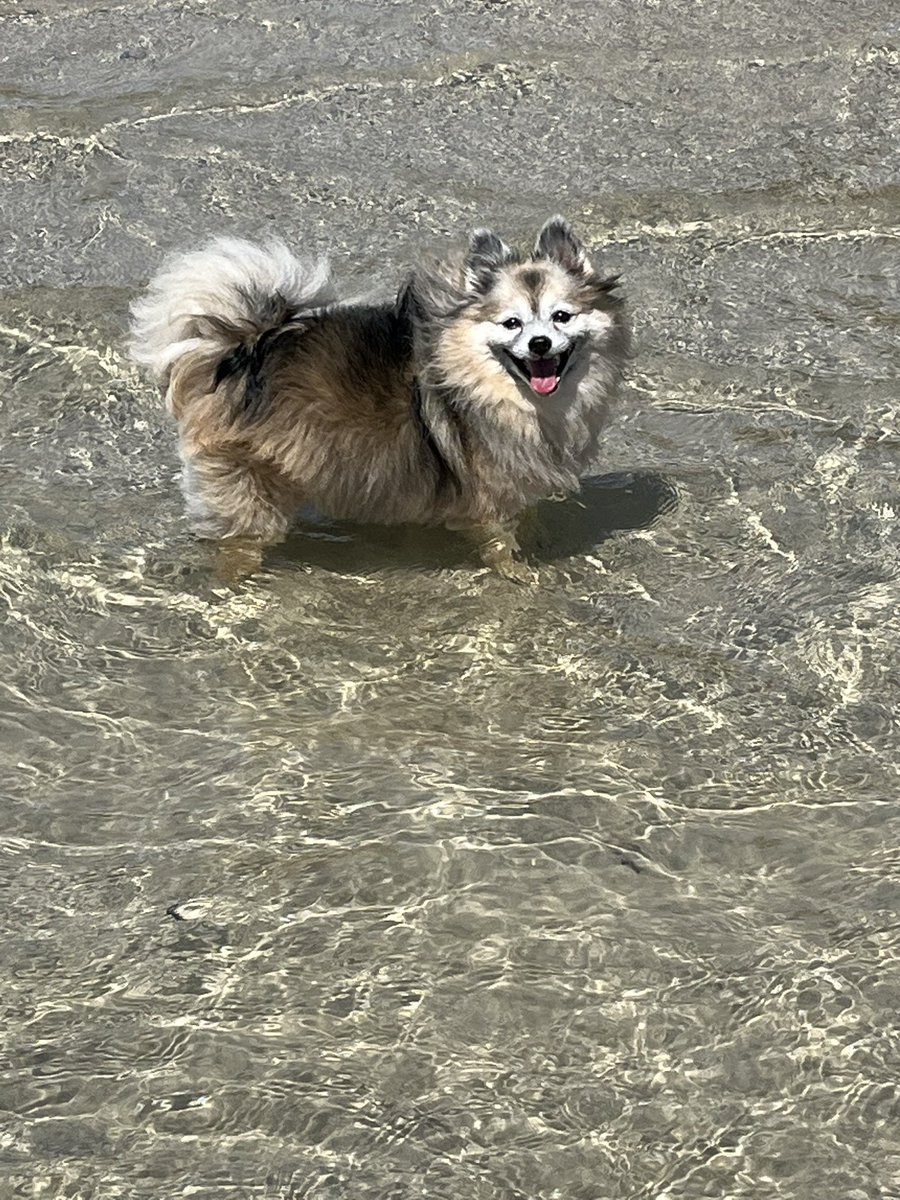 mark hebert tweet media
