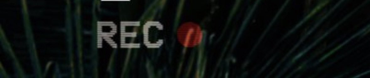 عُدي#53 tweet media