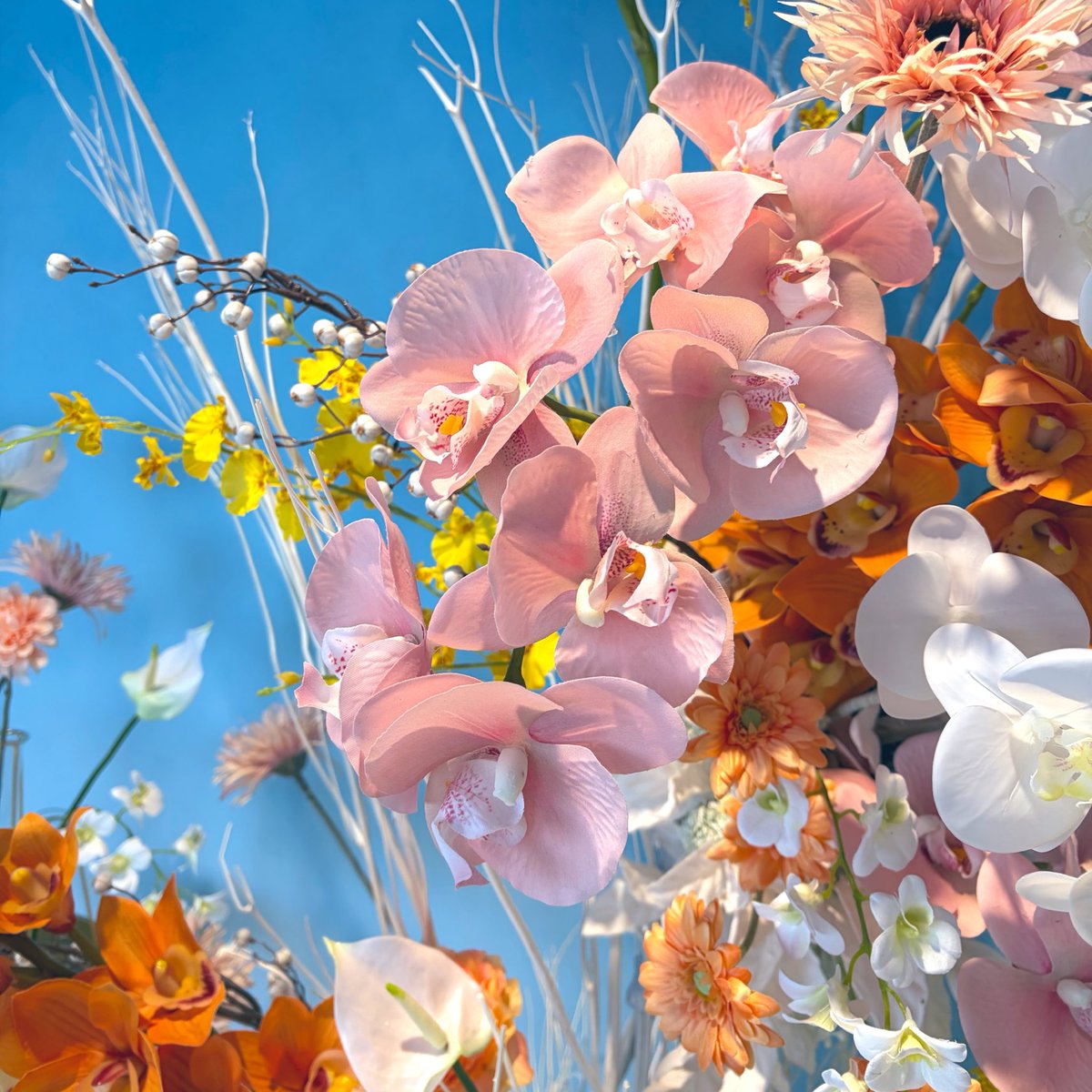 O18🧸💭 tweet media