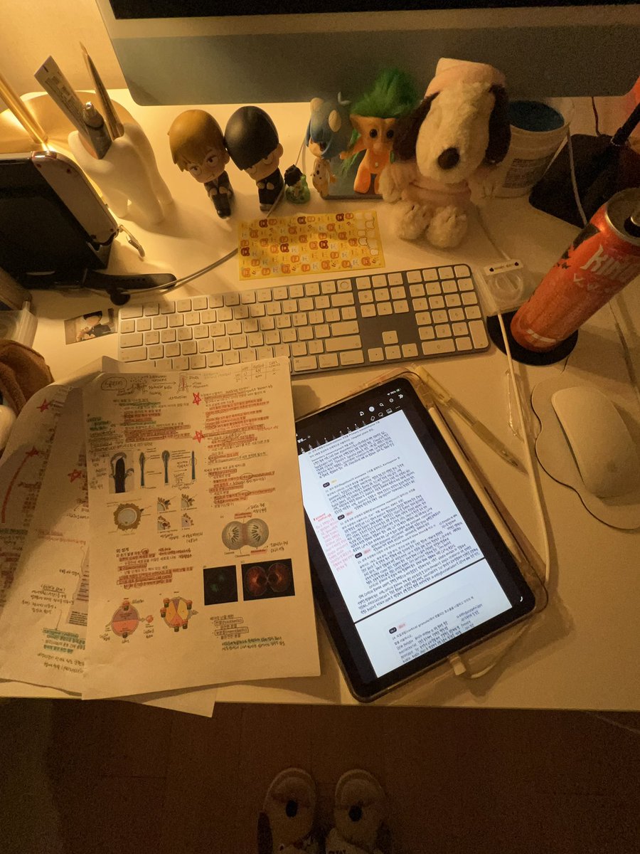iinvnnou's tweet photo. 발생학 시험 d-1 ....... 👩‍💻✍️ https://t.co/op4tgimDBv
