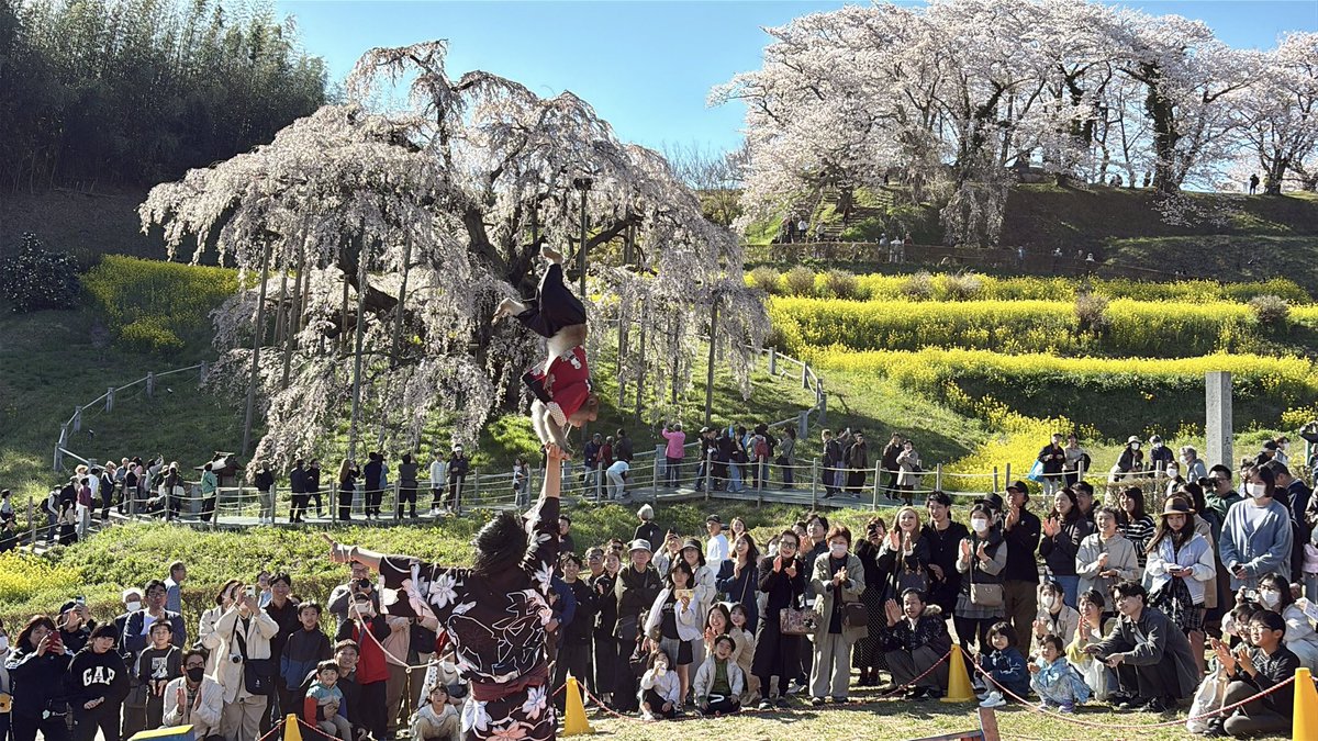 Bananaman tweet media