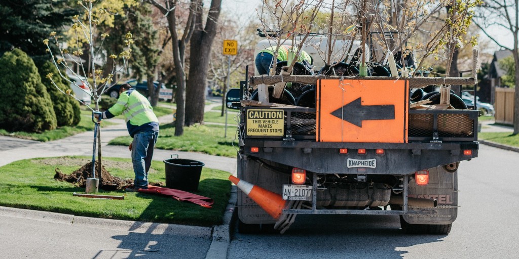 City of Toronto 🇨🇦 tweet media