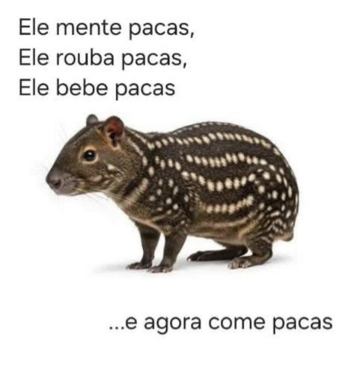 Ele é uma ANTA, mas…