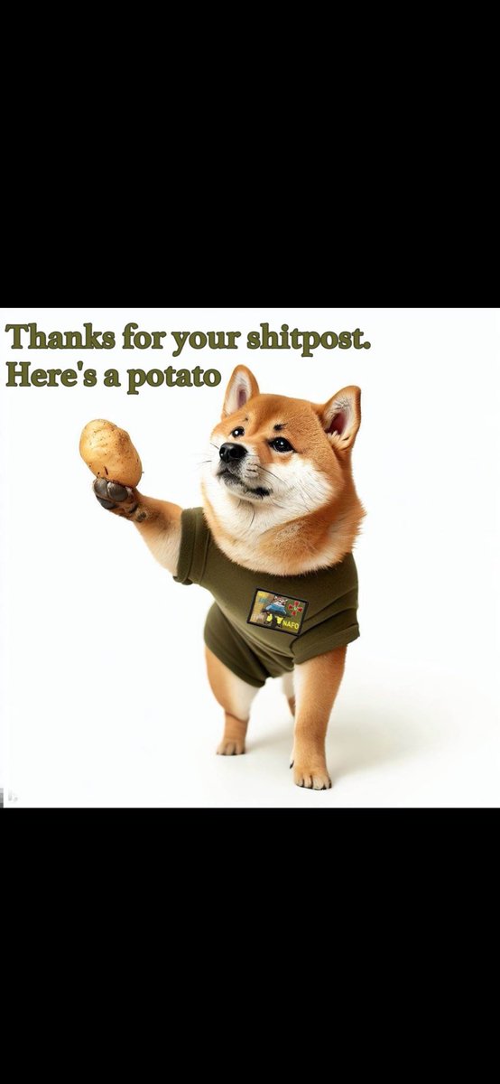 The Fuck’n Ford Ranger 🇺🇸🇺🇸 tweet media