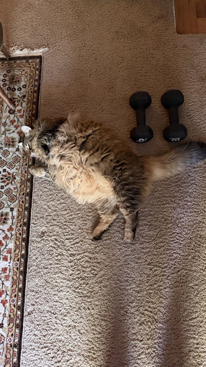 •b• ‎🌙✨❤️‍🔥 tweet media