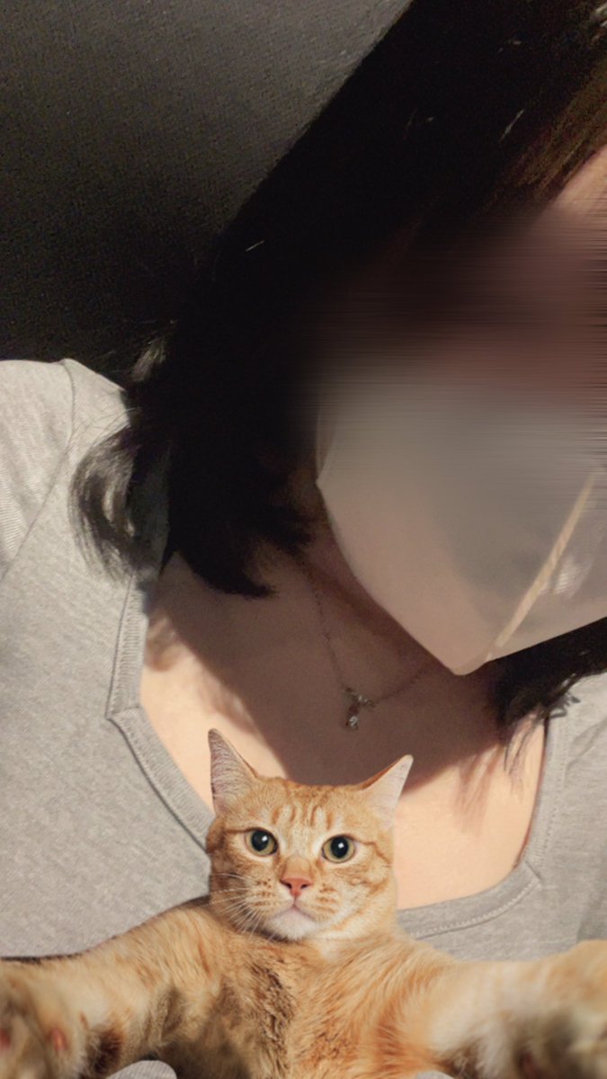cn3fyf's tweet photo. 意図せずねこが谷間隠してるみたいになっておもしろかった、おきに https://t.co/M7tGPqkcZf
