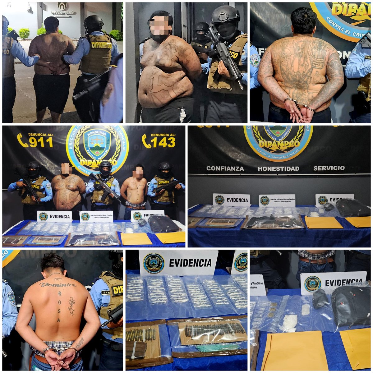 D.I.P.A.M.P.C.O tweet media