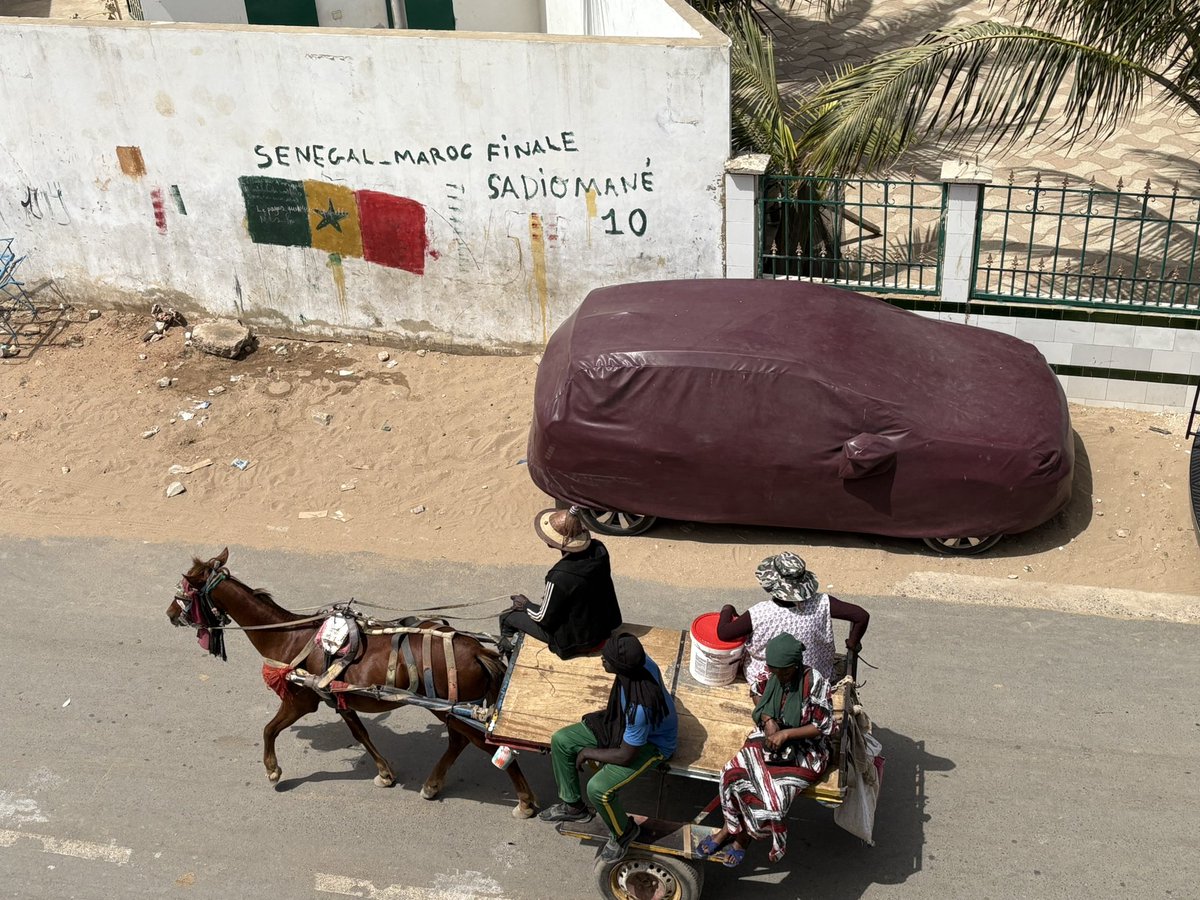 LusigeJoy's tweet photo. The different shades of Senegal 🇸🇳 https://t.co/b5hDwAwrLg