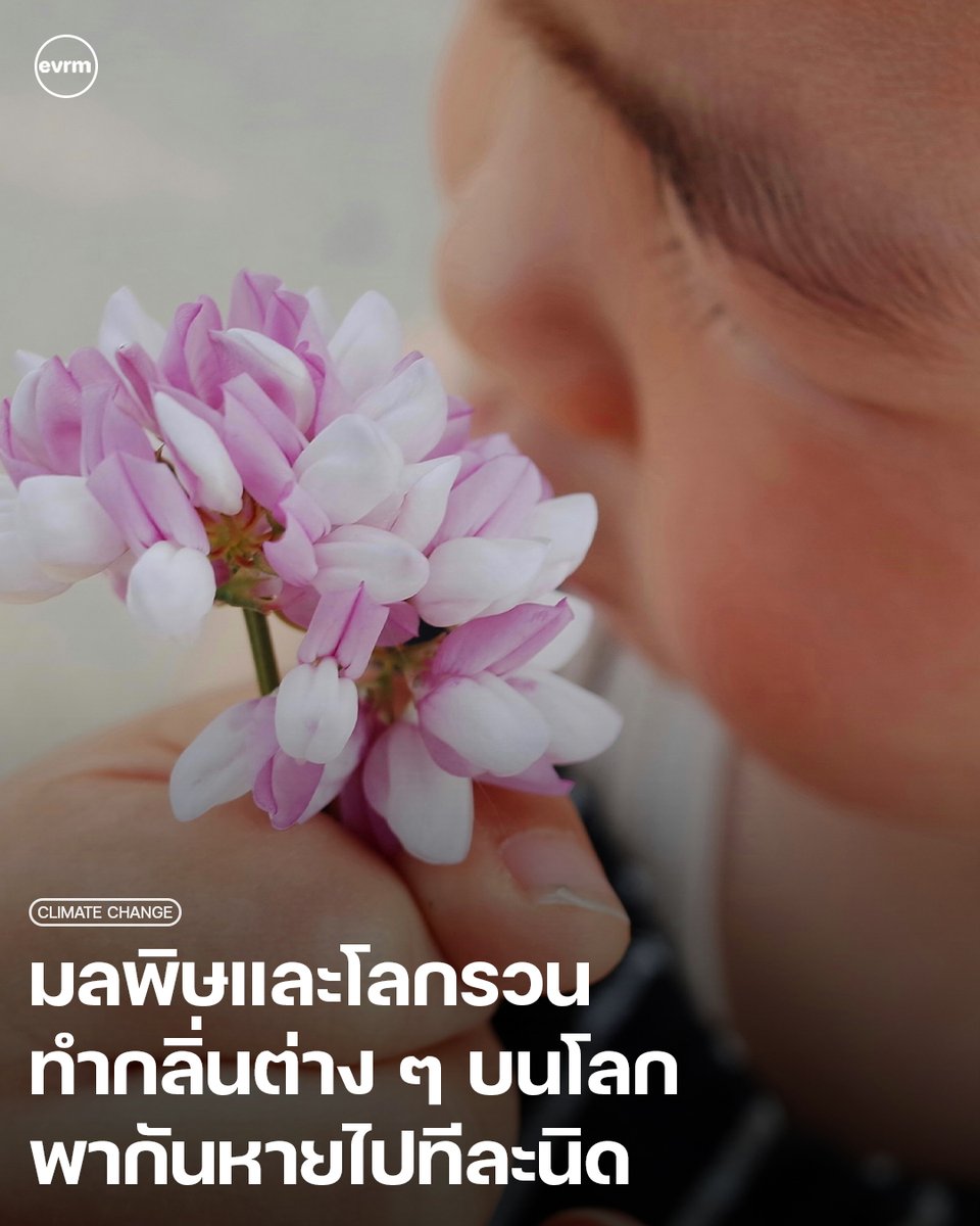 environman tweet media