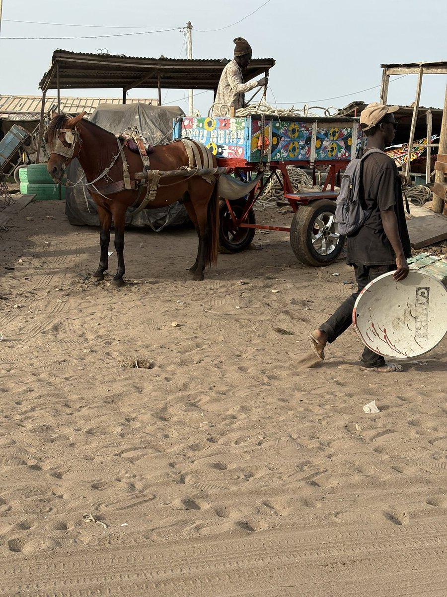 LusigeJoy's tweet photo. An immersive experience to understand what shapes migration https://t.co/0s6bVWFhuf