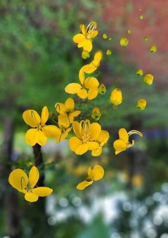 Ruhiii 🇮🇳 tweet media