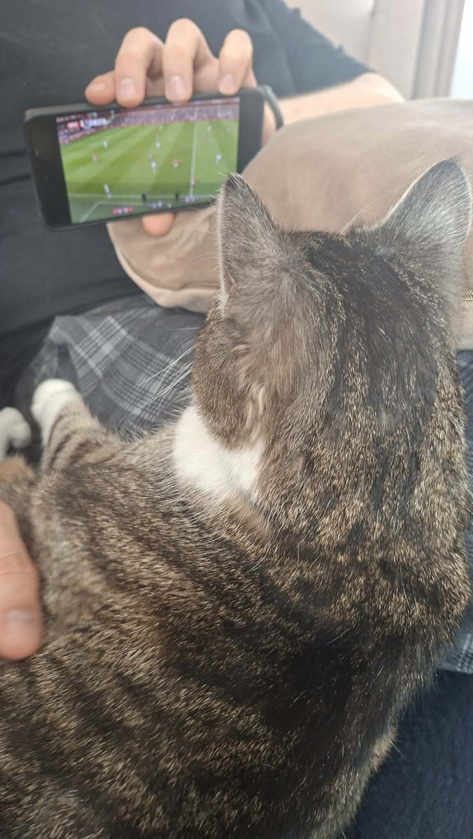 StaryKaton tweet media