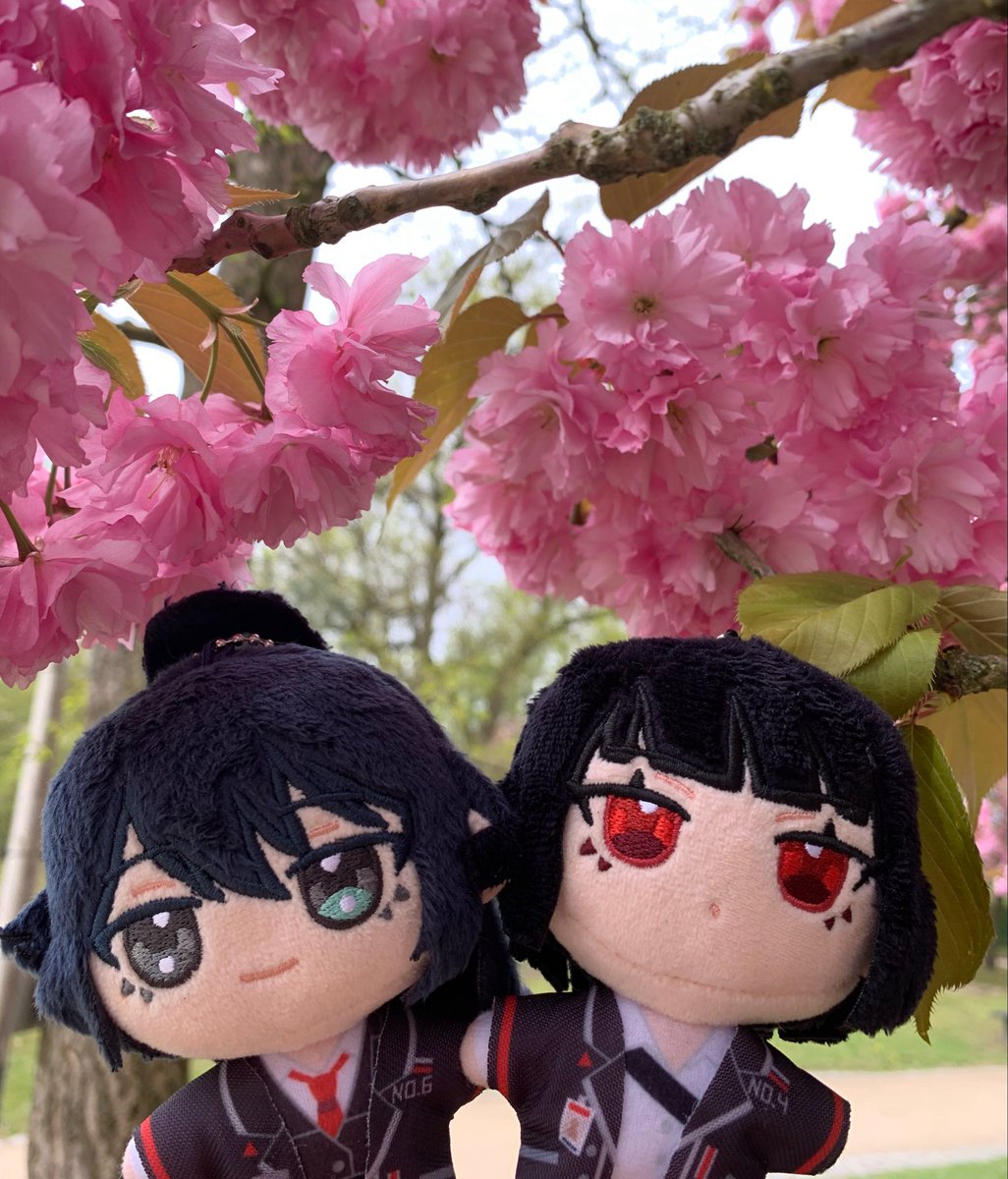 nyaaoi 2.0 tweet media