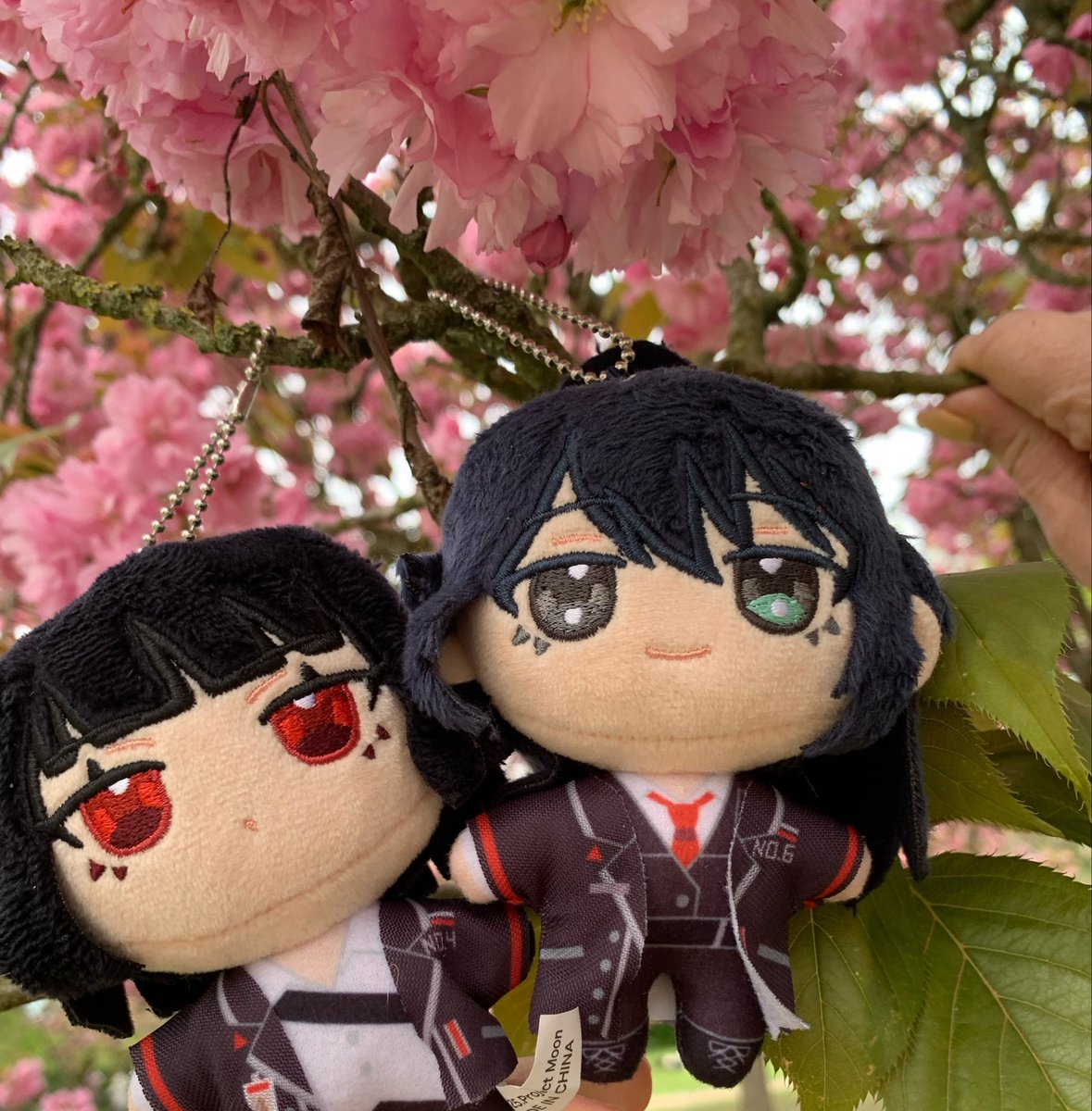 nyaaoi 2.0 tweet media