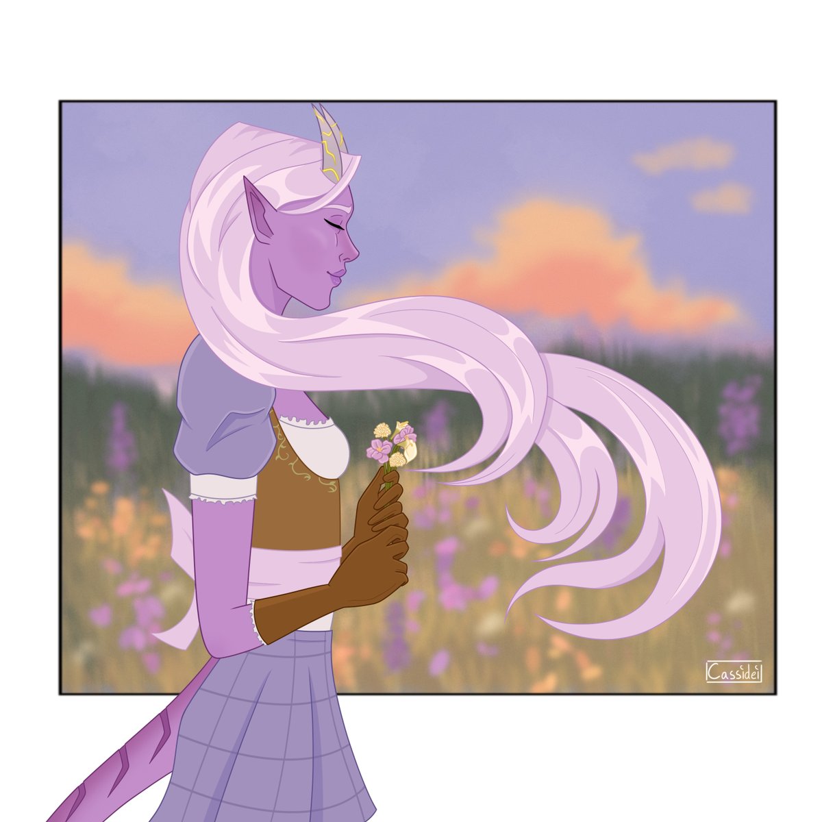 Cassidei tweet media