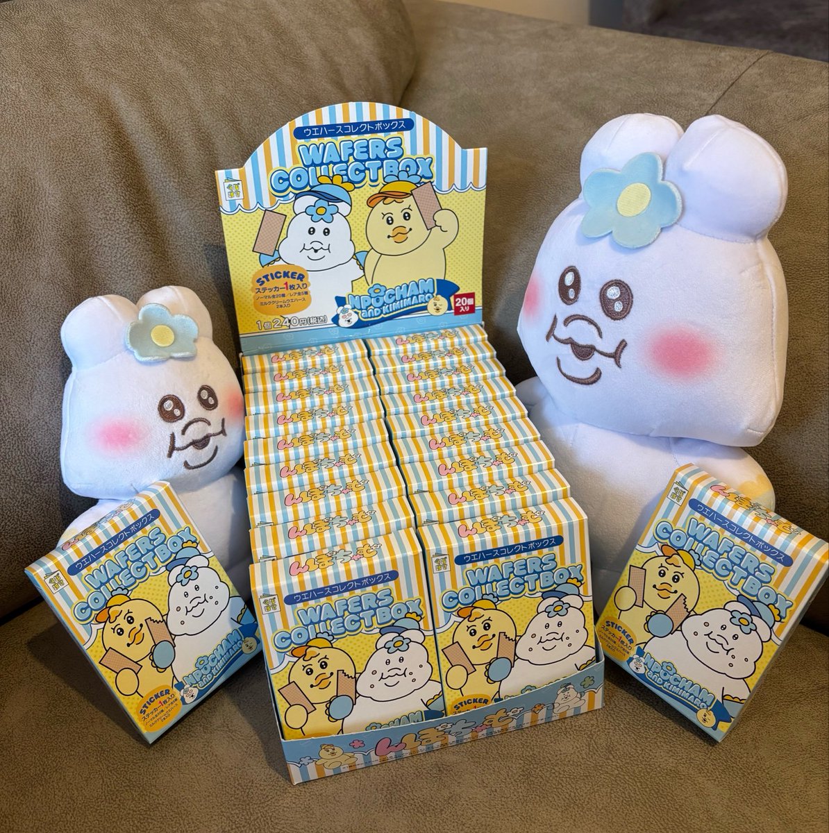 みょんちゃむ tweet media