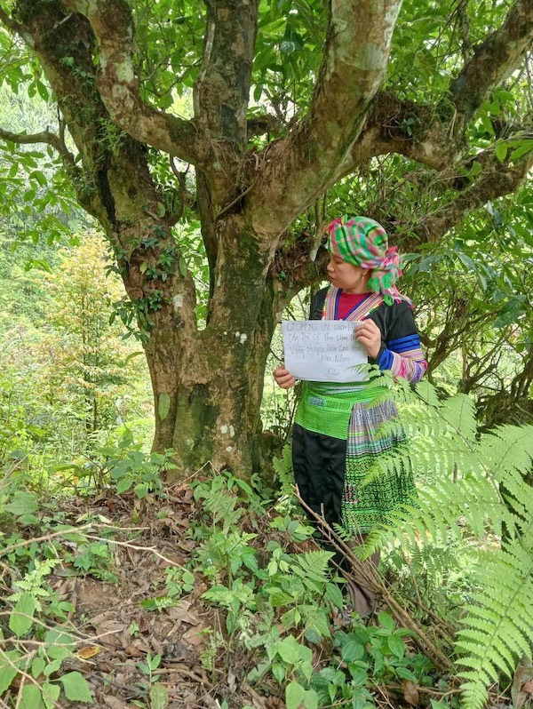 Boston Global Forum tweet media