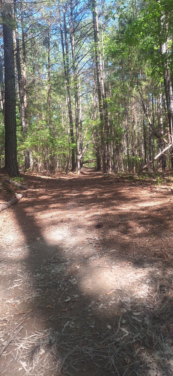 Meta☯️⚛️ tweet media