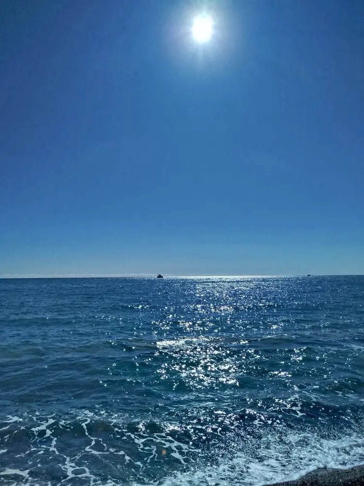 MoscowSki tweet media