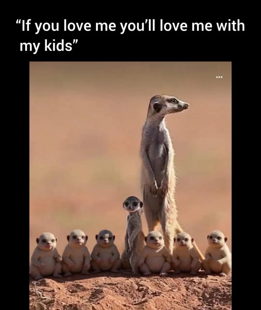 summer 🍭 🇺🇬 tweet media