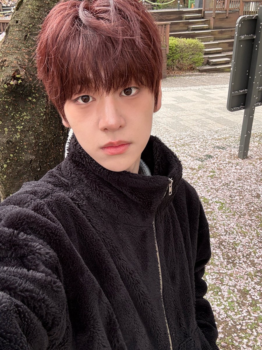 김동윤 폴더📁 tweet media
