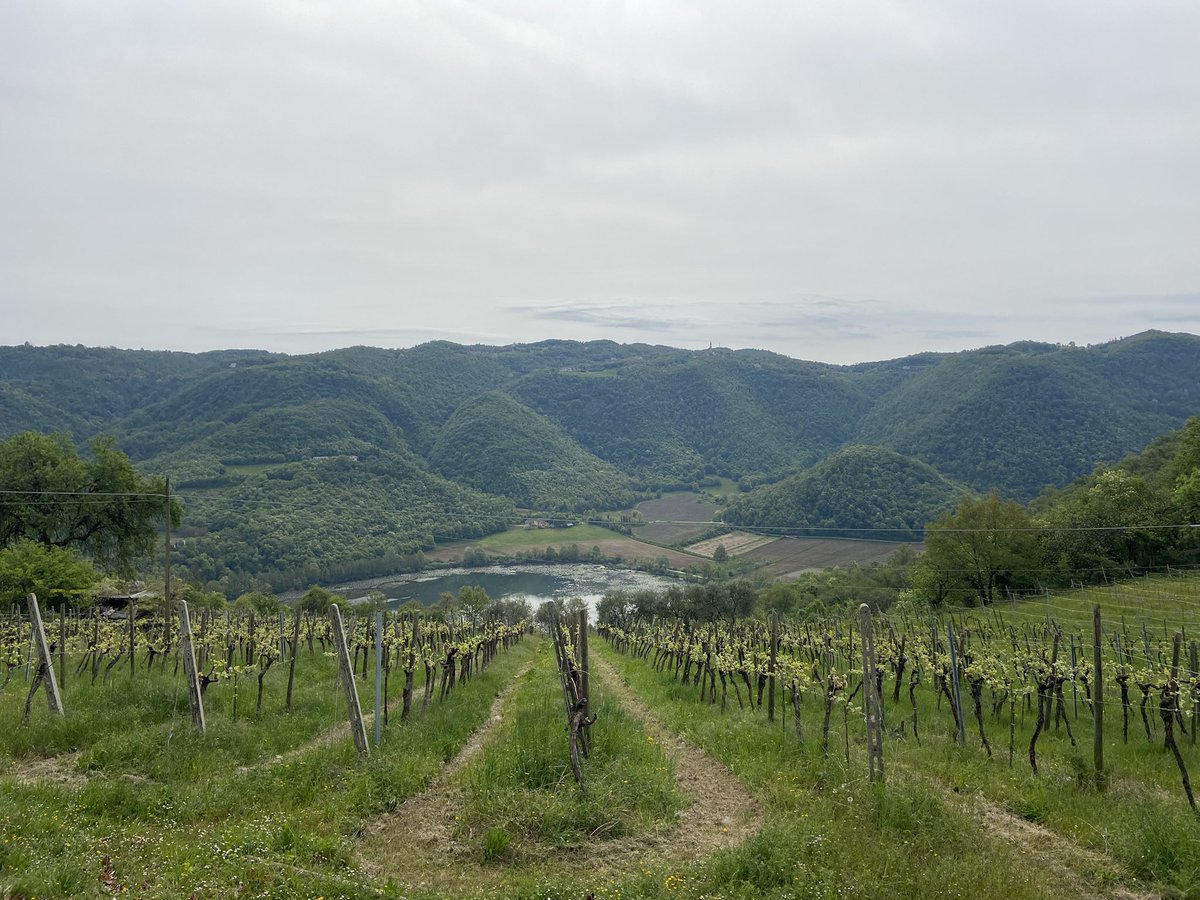 Mary 🜃 tweet media